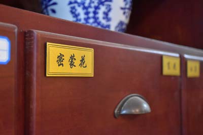 中医视角下的骨癌症状辨析